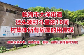临海市大洋街道泾头项村斗堂的10间村集体所有房屋的租赁权